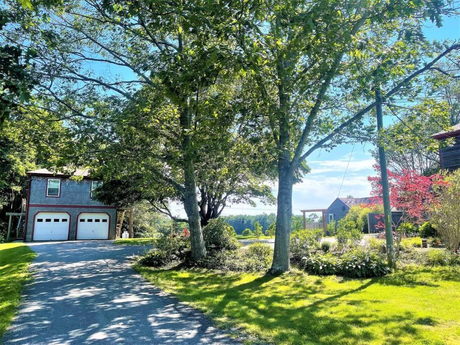 2 Bedroom Home W/ Pondside View Backyard Maine Escape Bar Harbor Bagian luar foto